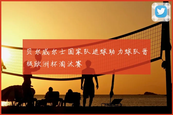 贝尔威尔士国家队进球助力球队晋级欧洲杯淘汰赛