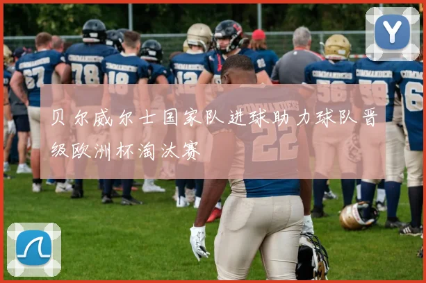 贝尔威尔士国家队进球助力球队晋级欧洲杯淘汰赛