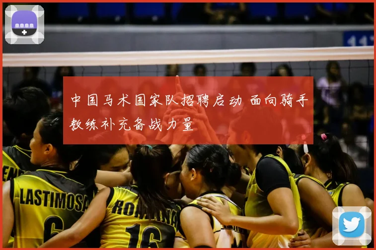 中国马术国家队招聘启动 面向骑手教练补充备战力量