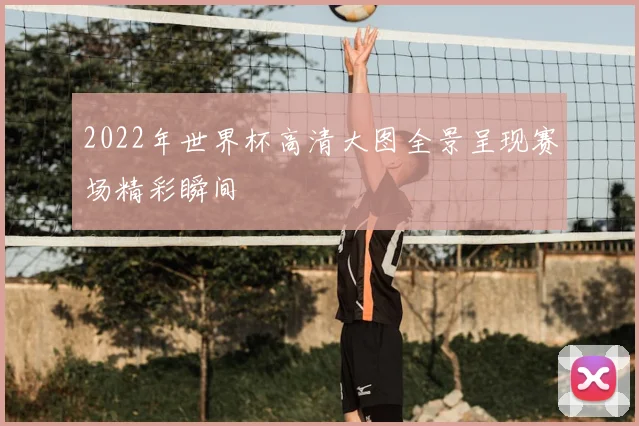 2022年世界杯高清大图全景呈现赛场精彩瞬间