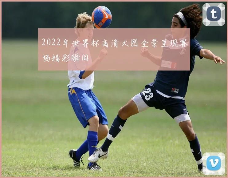 2022年世界杯高清大图全景呈现赛场精彩瞬间