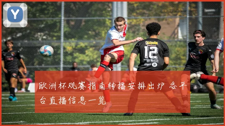 欧洲杯观赛指南转播安排出炉 各平台直播信息一览