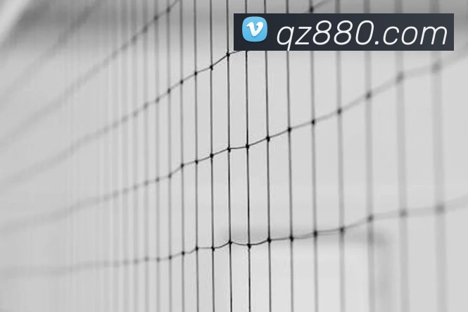 星空体育首页官网平台生态图